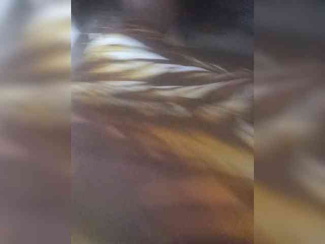 KittySexxy webcam