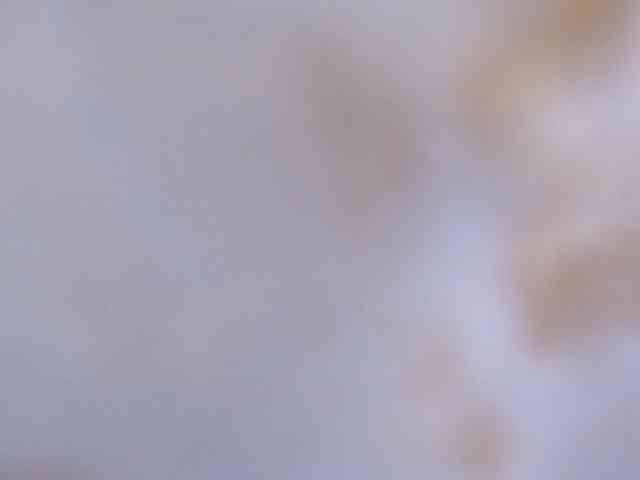 KittySexxy webcam
