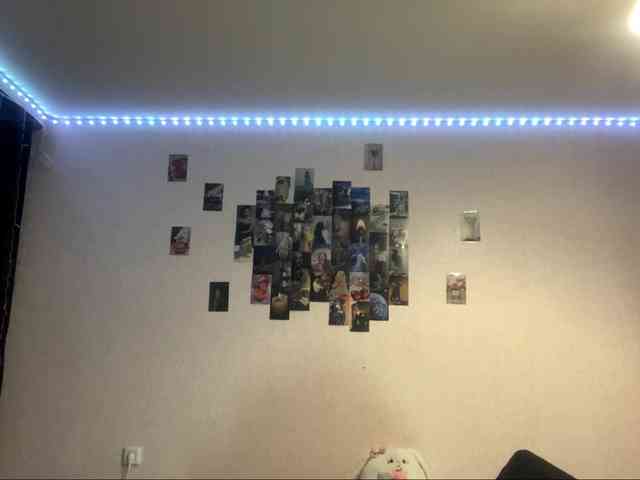 EvalynDetrick webcam