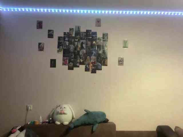 EvalynDetrick webcam