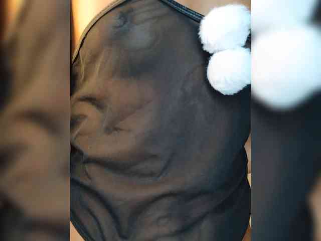 Roundbootie webcam
