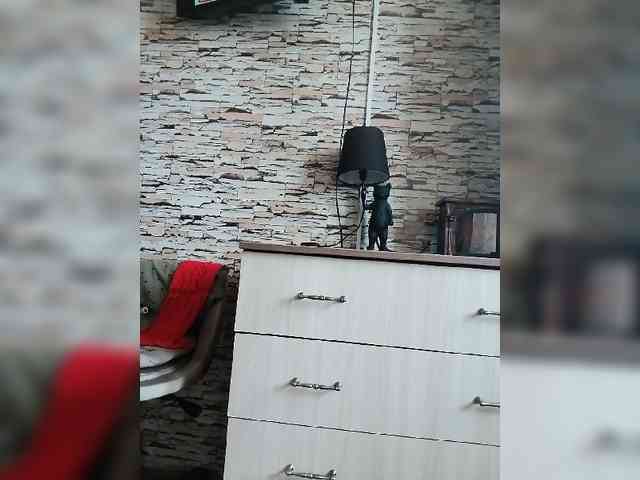Marusij webcam