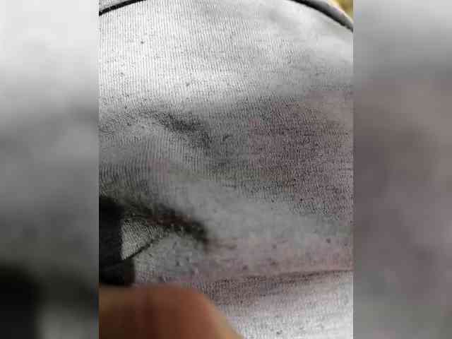 Marusij webcam