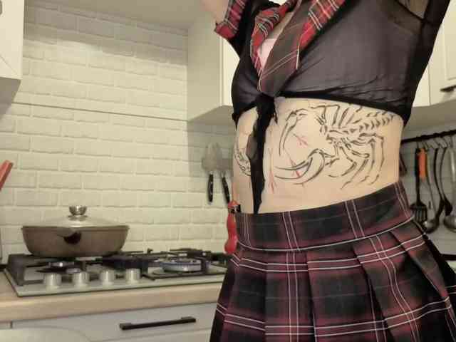 Fist-ashka webcam