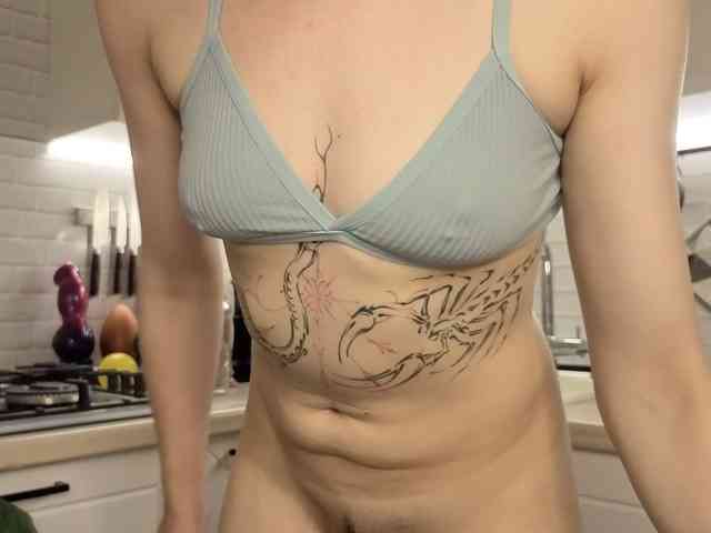 Fist-ashka webcam