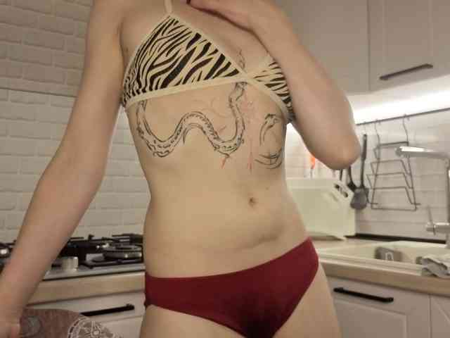 Fist-ashka webcam
