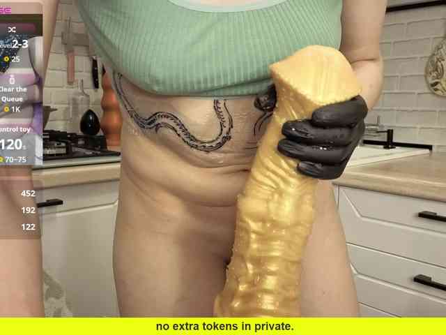 Fist-ashka webcam