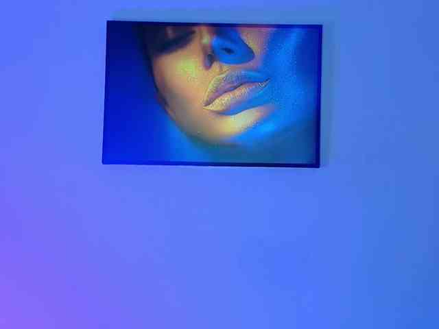 JoLicious webcam