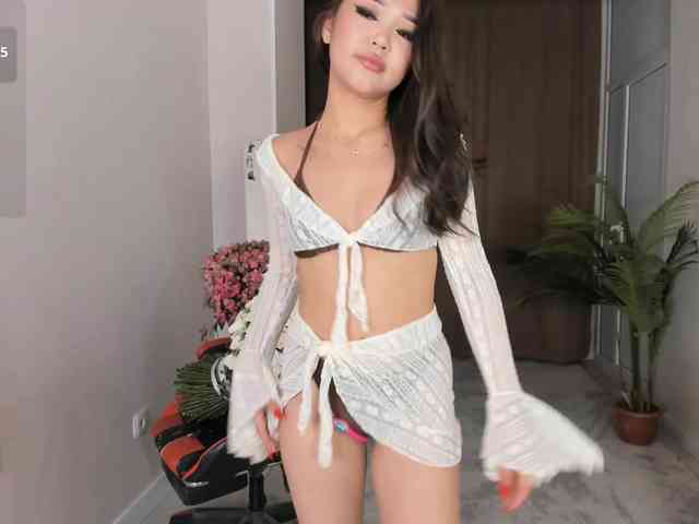 YunLe webcam