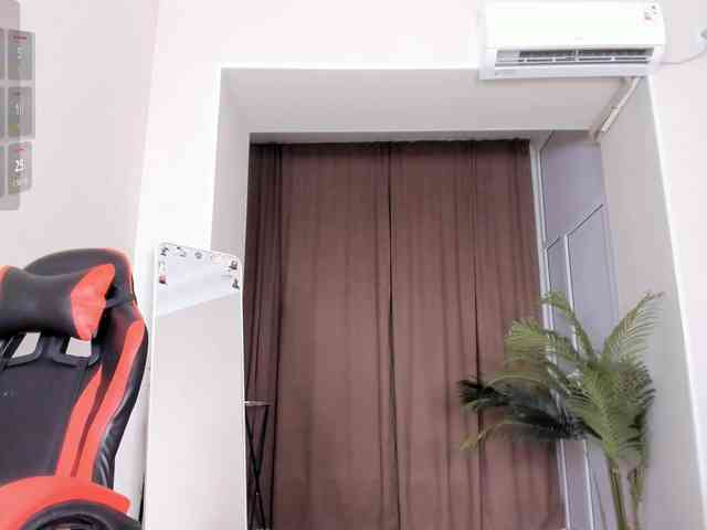 YunLe webcam