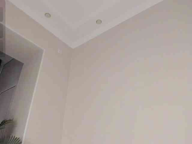 YunLe webcam