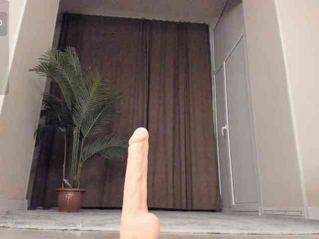 YunLe webcam
