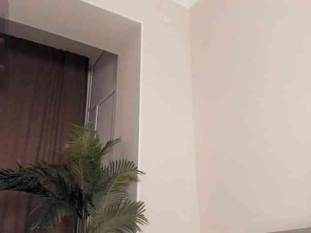 YunLe webcam
