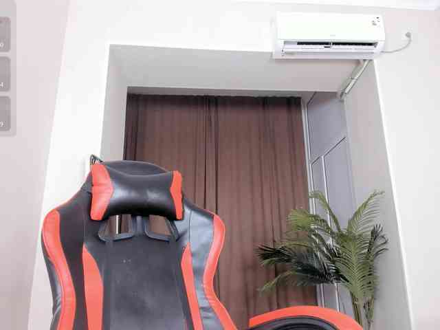 YunLe webcam