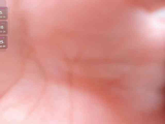 YunLe webcam