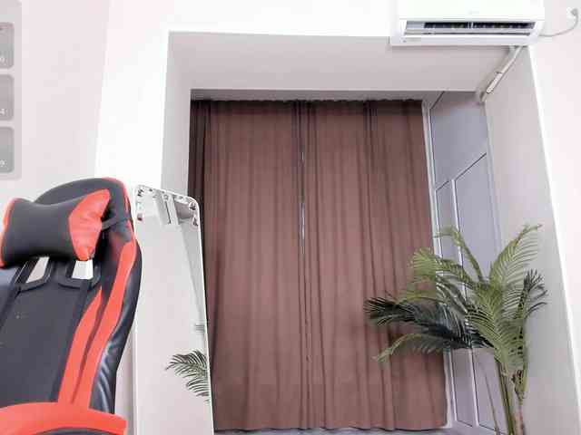 YunLe webcam