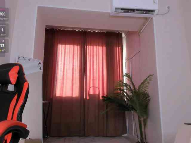 YunLe webcam
