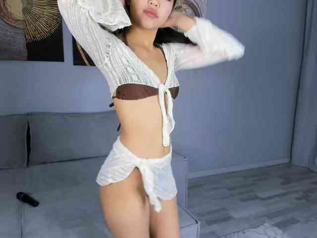 YunLe webcam
