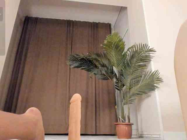 YunLe webcam