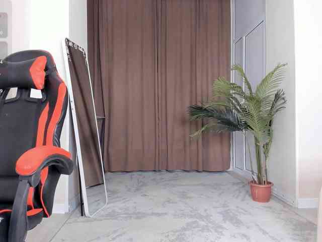YunLe webcam