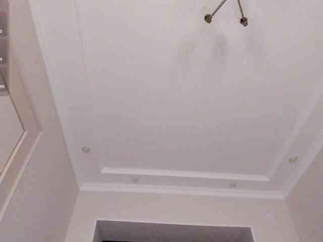 YunLe webcam