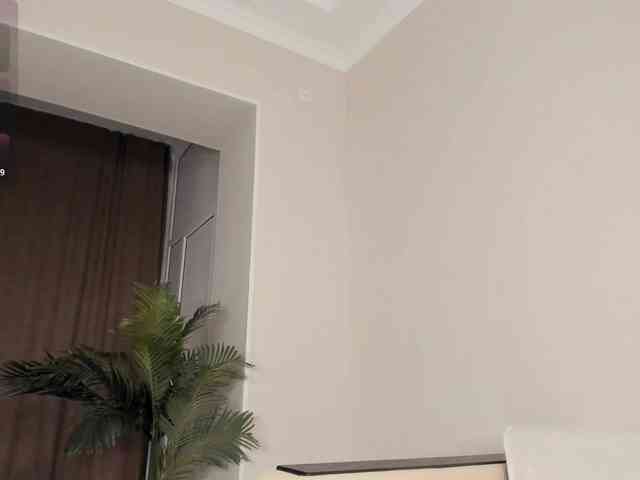 YunLe webcam