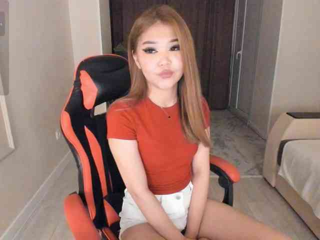 YunLe webcam