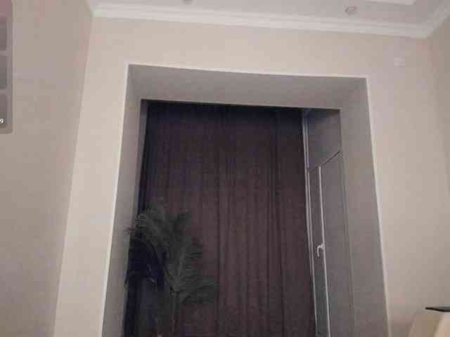 YunLe webcam