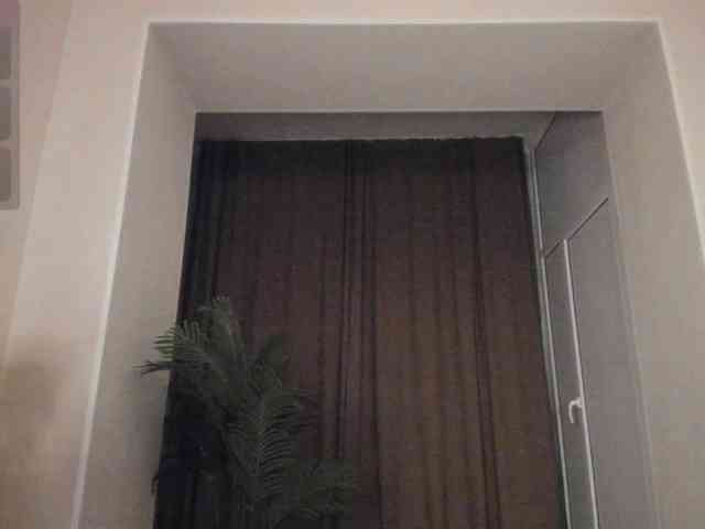 YunLe webcam