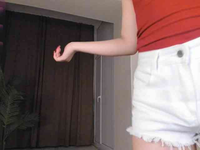 YunLe webcam