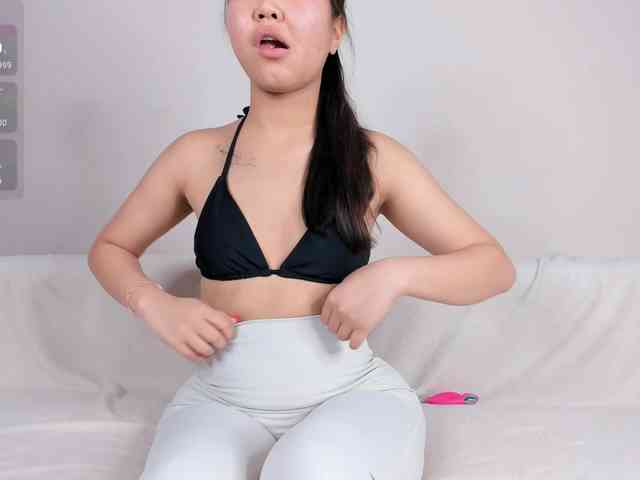 YunLe webcam