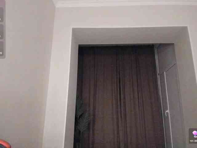 YunLe webcam
