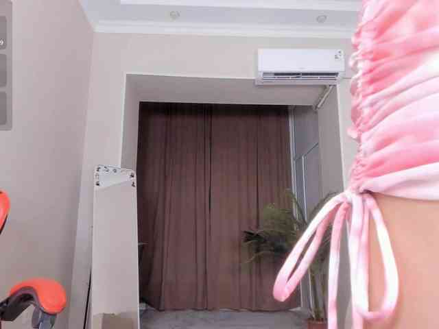 YunLe webcam