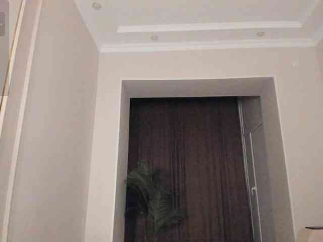 YunLe webcam