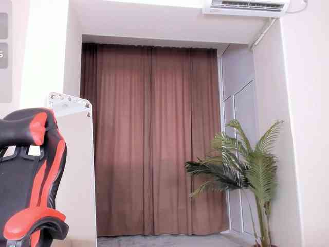 YunLe webcam
