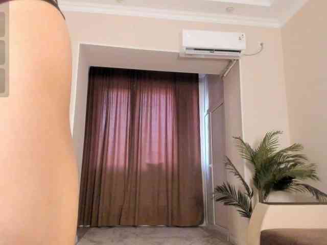 YunLe webcam