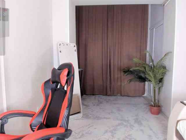 YunLe webcam