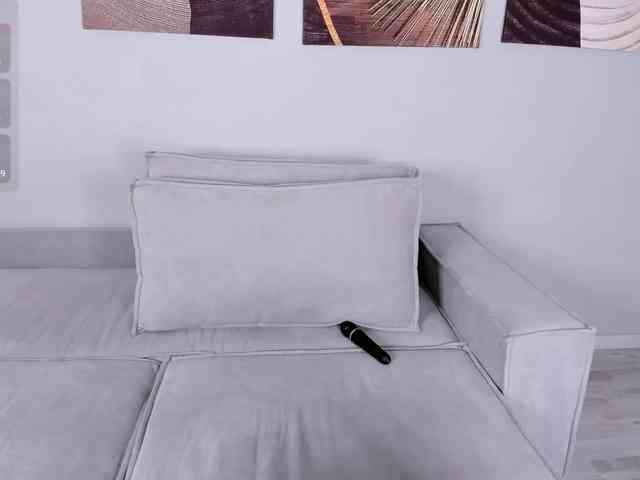 YunLe webcam