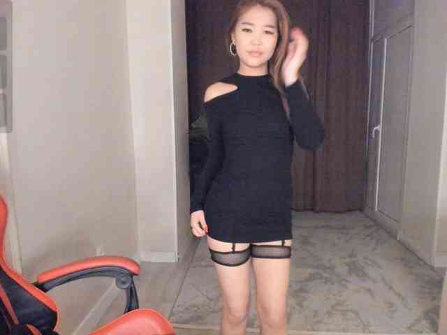 YunLe webcam