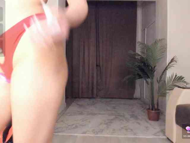 YunLe webcam