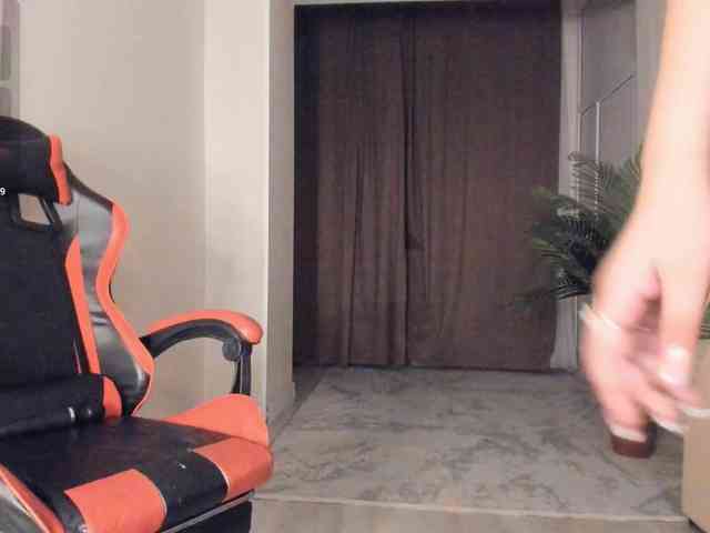 YunLe webcam
