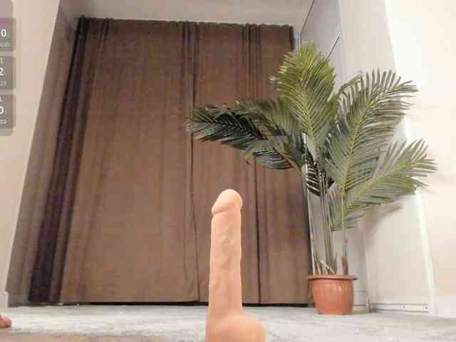 YunLe webcam