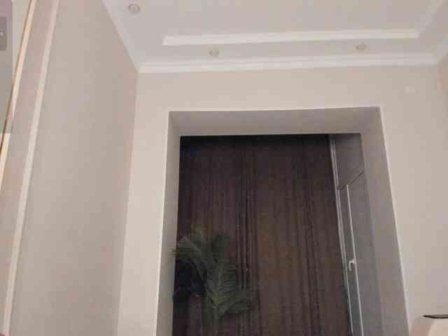 YunLe webcam