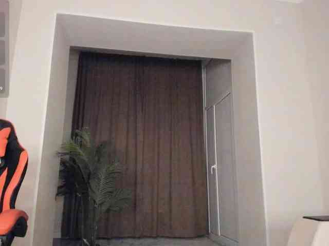 YunLe webcam