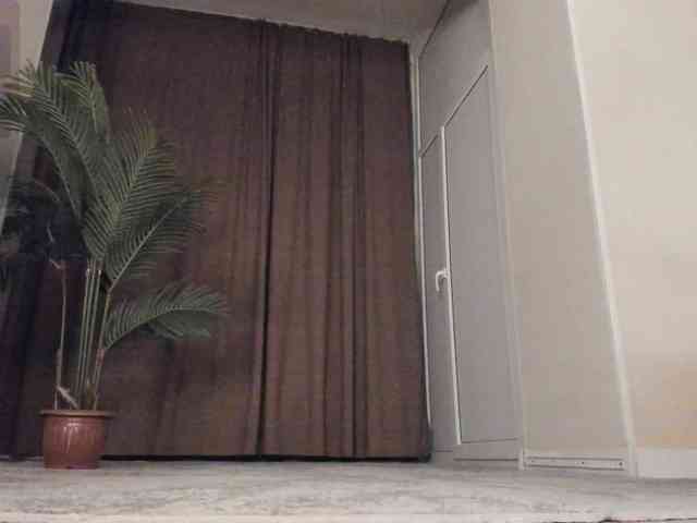 YunLe webcam