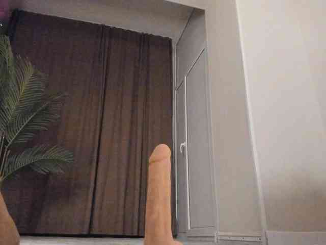 YunLe webcam