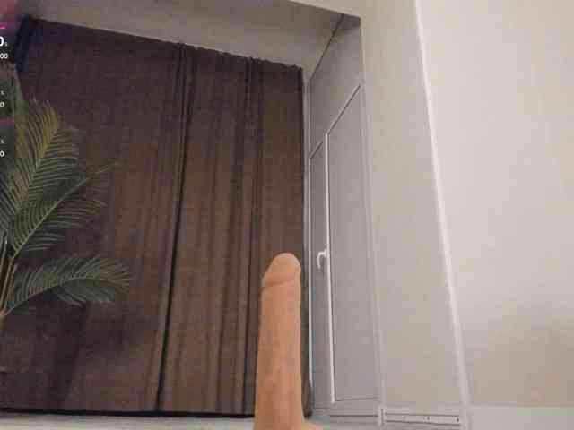 YunLe webcam