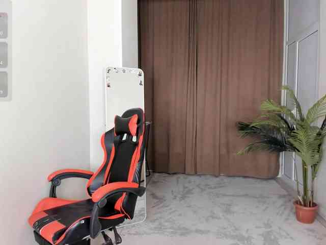 YunLe webcam