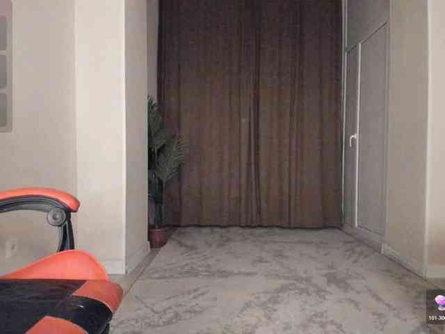 YunLe webcam