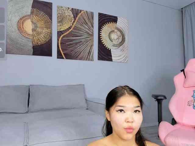 YunLe webcam